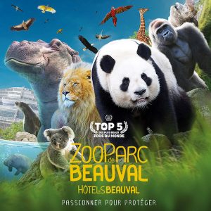 Zoo de Beauval