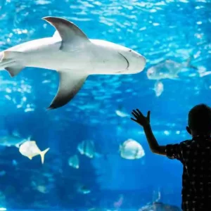 Aquarium de Paris