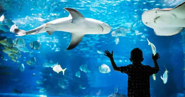 Aquarium de Paris