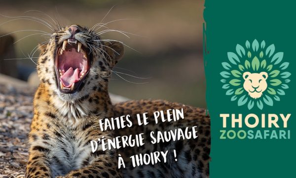 Zoosafari de Thoiry (Validité : 08/10/2025)
